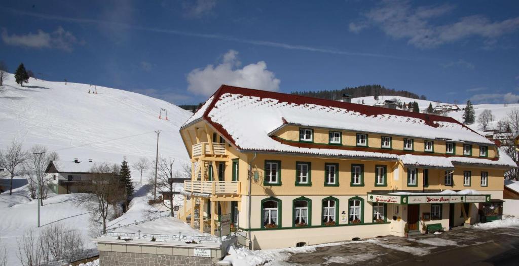 Gruener Baum Naturparkhotel & Schwarzwald-Restaurant Todtnau Exterior foto